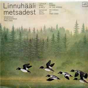 No Artist - Linnuhääli Metsadest download flac