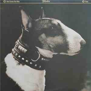 Pixies - Here Comes Your Man E.P. download flac