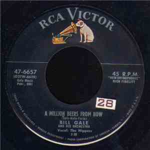 Bill Gale And His Orchestra - A Million Beers From Now / Sweet Guitar download flac