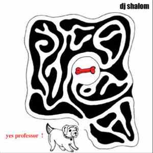 DJ Shalom - Yes Professor! download flac