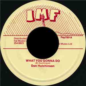 Don Hutchinson - What You Gonna Do download flac