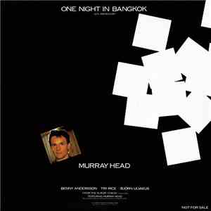 Murray Head - One Night In Bangkok (U.S. Radio Edit) download flac