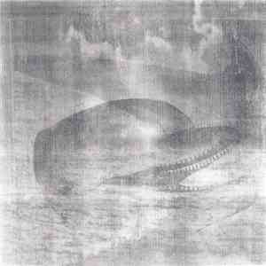 Pan Dolphinic Dawn - Pan Dolphinic Dawn download flac