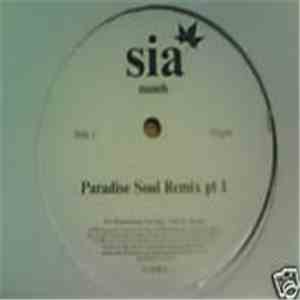 Sia - Numb download flac