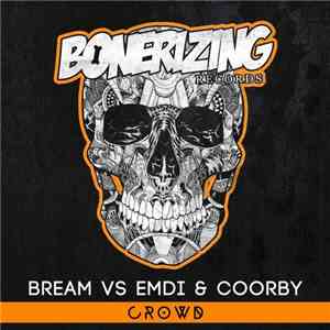 Bream Vs Emdi & Coorby - Crowd download flac