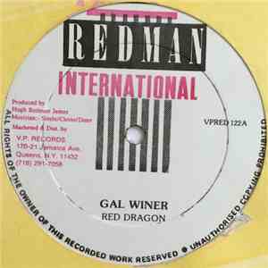 Red Dragon - Gal Winer download flac