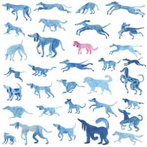 World of Dog - Real & Legendary Dogs download flac