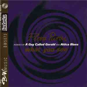 Flora Purim - What You See download flac