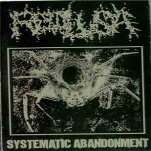 Reclusa - Systematic Abandonment FLAC album