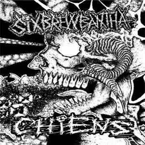 Six Brew Bantha / Chiens - Split Live download flac