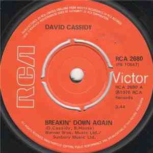 David Cassidy - Breakin' Down Again download flac