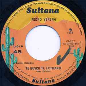 Pedro Yerena - Te Busco Te Extraño FLAC album