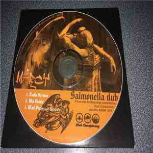 Salmonella Dub - Mercy download flac