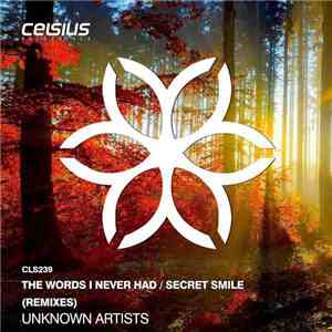Unknown Artist - Remixes EP III download flac