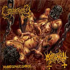 Cephalotripsy, Membro Genitali Befurcator - Membro Cephalic Symbiosis download flac