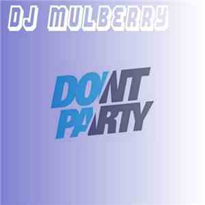 DJ Mulberry - Don't Party download flac