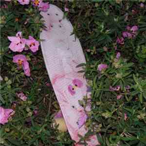 DJ Scallion - Sweet 'N' Salty Mix download flac