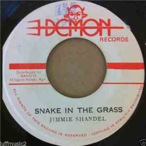 Jimmie Shandel - Snake In The Grass download flac