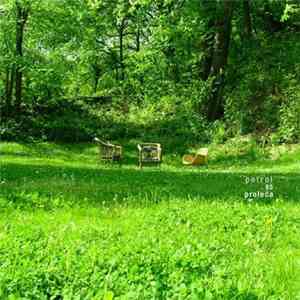 Petrol  - Arza download flac