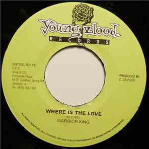 Warrior King / Don T - Where Is The Love / When Will It Cease download flac