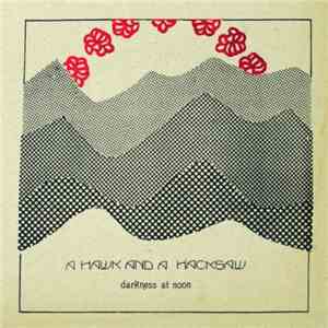 A Hawk And A Hacksaw - Darkness At Noon download flac
