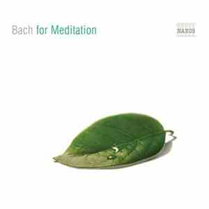 Bach - Bach For Meditation download flac