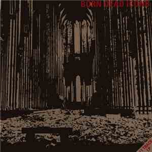 Born Dead Icons - Ruins download flac