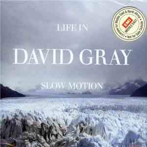 David Gray - Life In Slow Motion download flac