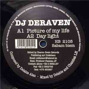 DJ Deraven - Picture Of My Life download flac