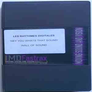 Les Rhythmes Digitales - Hey You What's That Sound download flac