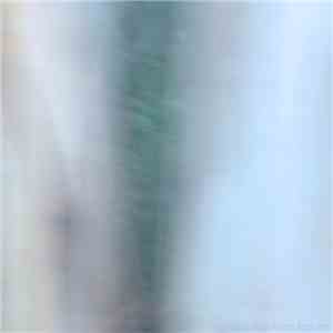 New Fast - Great Western Forum download flac
