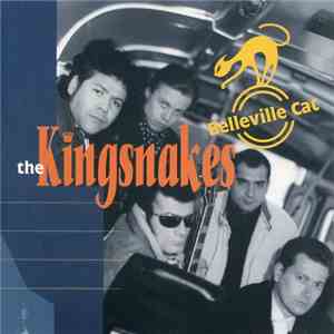 The Kingsnakes - Belleville Cat download flac