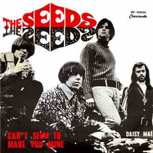 The Seeds - Can't Seem To Make You Mine download flac