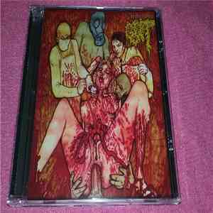 Various - A Tribute To Gut download flac