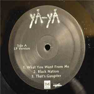 Ya-Ya - What You Want From Me download flac
