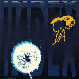 Index - Now You're Gone download flac