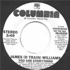 James (D Train) Williams - You Are Everything download flac