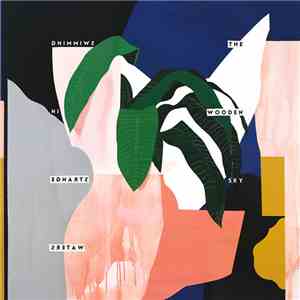 The Wooden Sky - Swimming In Strange Waters download flac