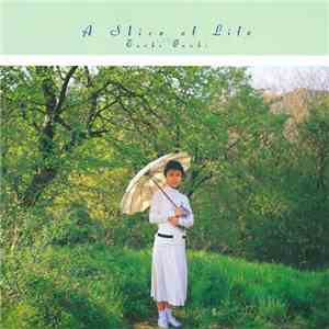 大貫妙子 - A Slice Of Life download flac