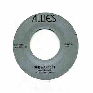 Allies  - She Wants It / (Feelin') Life Again download flac