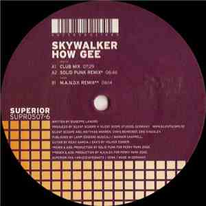 Skywalker  - How Gee download flac