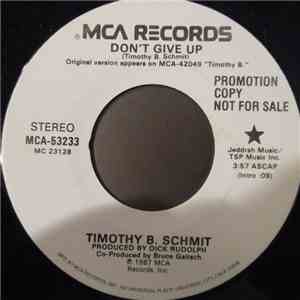 Timothy B. Schmit - Don't Give Up download flac