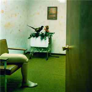 White Mountains - There Was A Room And It Was Cold download flac