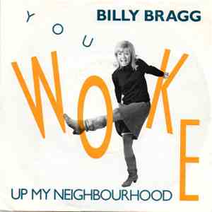 Billy Bragg - You Woke Up My Neighbourhood download flac