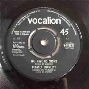 Delaney Bramlett - You Have No Choice download flac