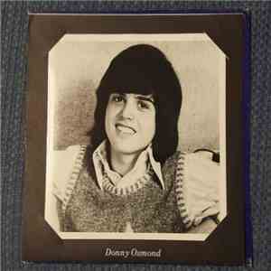 Donny Osmond - When I Fall In Love download flac