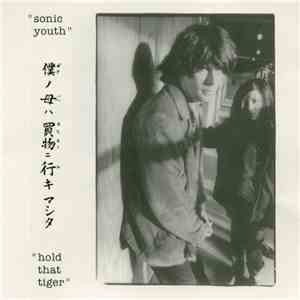 Sonic Youth - Hold That Tiger download flac