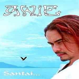Awie - Santai download flac