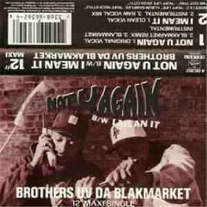Brothers Uv Da Blakmarket - Not U Again download flac