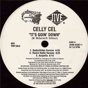 Celly Cel - It's Goin' Down download flac